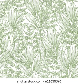 Wild flowers seamless pattern. Vintage floral background. Vector illustration