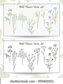 Wild Flowers set