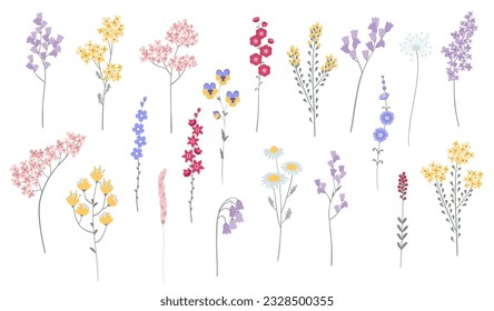 Wild flowers set. Collection of floral and botanical elements
