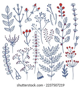 Wild flowers set. Floral herbal plants with blue blooms. Delicate field and meadow wildflowers and herbs. Botanical flat vector illustration of gentle summer flora isolated on white background
