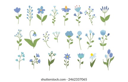 Wild flowers set. Floral herbal plants with blue blooms. Delicate field and meadow wildflowers and herbs. Botanical flat vector illustration of gentle summer , spring flora isolated on white