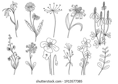 Flower stem Vectors & Illustrations for Free Download