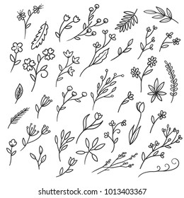 Wild Flowers. Set. Vintage flowers. Black and white illustration in the style of engravings.Herbs and twigs set. Vector illustration freehand drawing. pattern