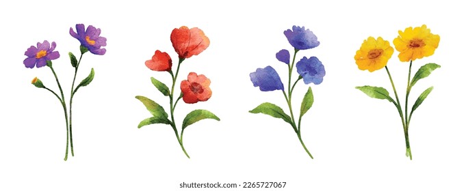 Wild flowers set in watercolor style isolated on white background.