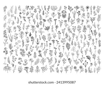 Wild flowers silhouette vector art white background