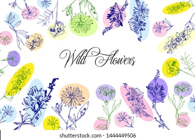Wild Flowers Sketches  Background. Hand Drawn Botanical Digital  Illustration