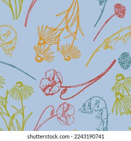 Wild flowers sketches ornament. Vector seamless pattern of coneflower, chamomile, poppy, bluebells, dandelion. Botanical outline design.