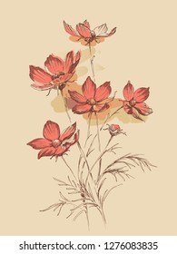 Wild flowers in spring bouquet