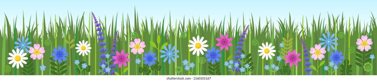 Wild flowers and spring green grass seamless border isolated on blue sky  background. Hand drawn vector illustration in cartoon style.