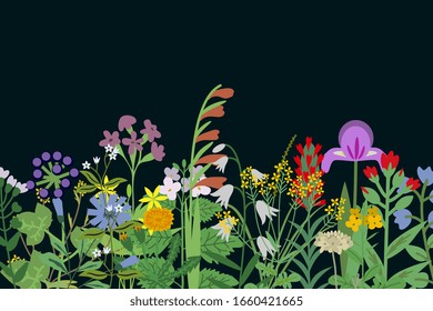 Wild flowers summer vector background