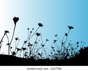 wild flowers vector