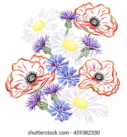 Wild flowers. Vector brush sketch of cornflower, daisy and poppy flowers for greeting cards.