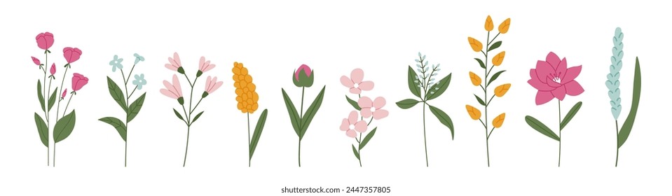 Flores silvestres Vector colección. Flores florecientes aisladas sobre fondo blanco. Dibujado a mano ilustración plana botánica.