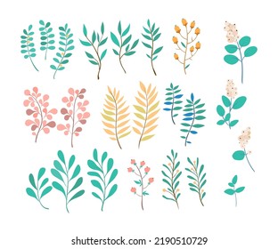 Colección vectorial de flores silvestres. Hierbas verdes, hojas, flores silvestres y bayas. Ilustración vectorial con diferentes plantas y ramas.