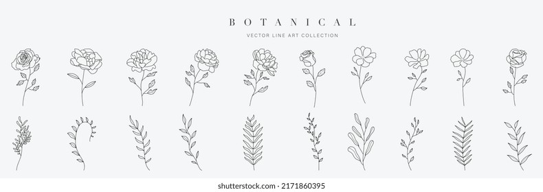 Colección vectorial de flores silvestres.  hierbas, plantas herbáceas floridas, flores florecientes, subarbustos aislados de fondo blanco. Dibujo manual de ilustraciones botánicas vectoriales detalladas.