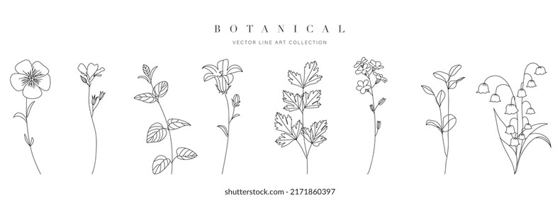 Wild flowers vector collection.  herbs, herbaceous flowering plants, blooming flowers, subshrubs isolated on white background. Hand drawn detailed botanical vector illustration.