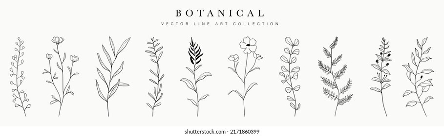 Wild flowers vector collection.  herbs, herbaceous flowering plants, blooming flowers, subshrubs isolated on white background. Hand drawn detailed botanical vector illustration.