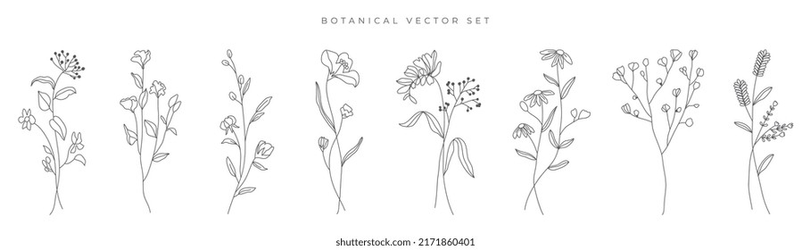 Wild flowers vector collection.  herbs, herbaceous flowering plants, blooming flowers, subshrubs isolated on white background. Hand drawn detailed botanical vector illustration.