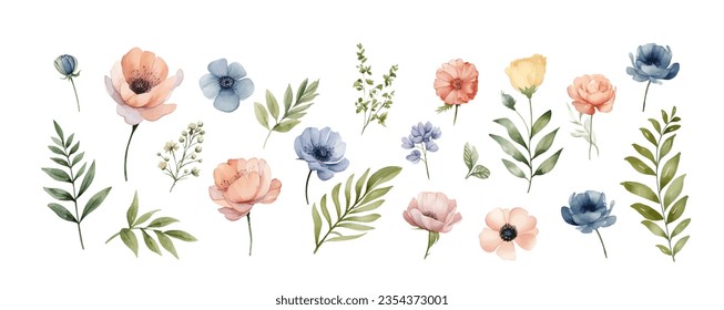 Wild flowers vector collection.  herbs, herbaceous flowering plants, blooming flowers, subshrubs isolated on white background. Hand drawn detailed botanical vector illustration.