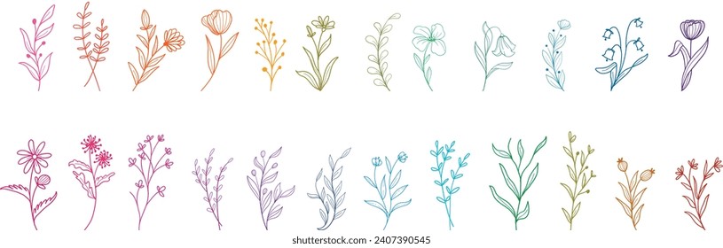 Colección vectorial de flores silvestres. hierbas, plantas herbáceas floridas, flores florecientes, subarbustos aislados de fondo blanco. Dibujo manual de ilustraciones botánicas vectoriales detalladas.