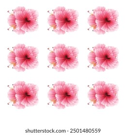 Wildblumen-Vektorgrafik. Kräuter, krautige blühende Pflanzen, blühende Blumen, Untersträucher einzeln auf weißem Hintergrund.