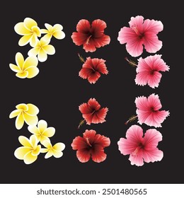 Colección de Vector de flores silvestres. hierbas, plantas herbáceas de flores, flores en flor, subarbustos aislados sobre fondo blanco.