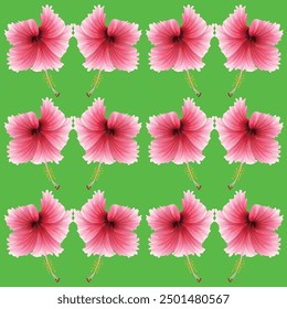 Wild flowers vector collection. herbs, herbaceous flowering plants, blooming flowers, subshrubs isolated on white background.