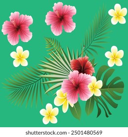 Wild flowers vector collection. herbs, herbaceous flowering plants, blooming flowers, subshrubs isolated on white background.