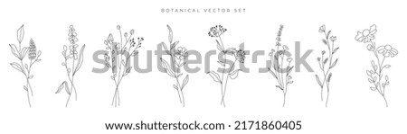 Similar – Image, Stock Photo Wild Onion (Allium Cernuum )