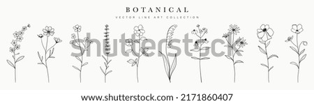 Similar – Image, Stock Photo flowers Flower