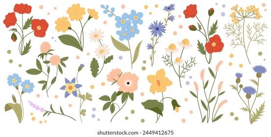 Wild flowers vector collection. Set of decorative floral design elements. Herbs, flowering plants. Botanical vector illustration