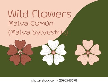 Diseño vectorial de flores silvestres, malvavisco común