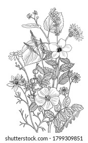 wild flowers, vector drawing floral vintage template, bouquet of medicinal plants, hand drawn illustration