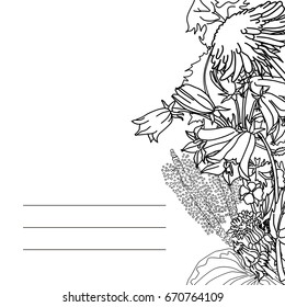 Wild flowers vector drawing set. Isolated meadow plants and leaves. Herbal engraved style illustration. Detailed botanical sketch frame