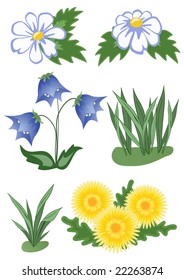 wild flowers. Vector illustration.