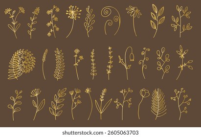 Wild Flowers Vector illustrations, golden gradient, line style collection