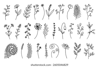 Wild Flowers Vector illustrations, line style collection