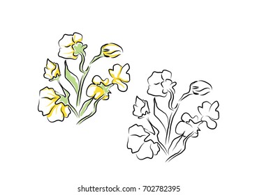 Wild flowers vector outline sketch 