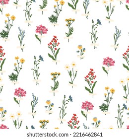 Wild flowers vector seamless pattern. herbs, herbaceous flowering plants, blooming flowers, subshrubs texture. Hand drawn flat botanical illustration. Buttercups, pansy, tansy, cornflower, lavender