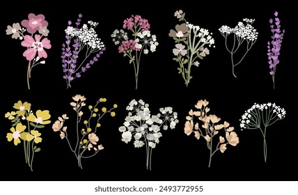 Conjunto de Vector de flores silvestres. Elementos florales de flor botánica colección. Ramas, flores, hojas, hierbas, plantas silvestres. Conjunto de hierbas silvestres. Ilustración vectorial