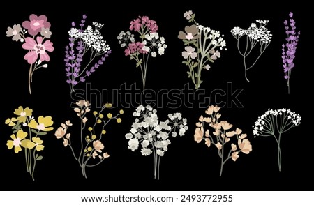 Wild flowers vector set.Botanist blossom floral elements collection.Field herbs and dried flowers bouquets. Branches, flowers, leaves, herbs, wild plants.Set of wild field herbs.Vector illustration