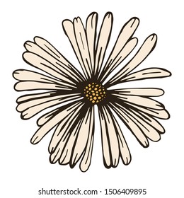 Wild Flowers For Wedding Invitation Element
