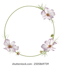 Wild flowers. White cosmos. Round frame decorated with cosmos flowers. Beautiful floral background.