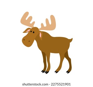 Wild forest animal. Colorful sticker with big horned deer or elk. Funny woodland mammal or herbivore. Tundra dweller. Cartoon flat vector illustration isolated on white background