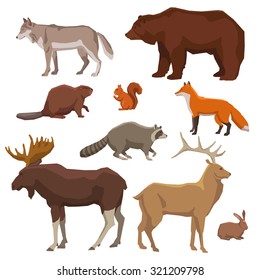 Wild forest animals bear wolf fox elk rabbit and beaver painted color icon set isolated vector illustration