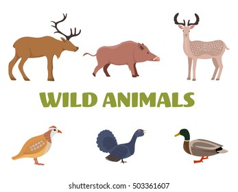 Wild forest animals with wild boar, deer, moose, duck, grouse and partridge. Vector illustration