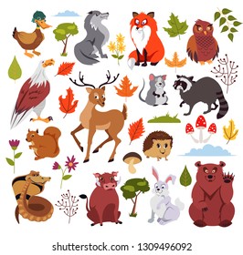 Wild forest animals characters set with plans, mushroom and tree. Graphic design for children book. Vector flat isolated cartoon illustration