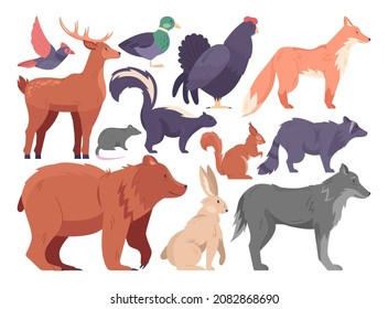 Wild forest animals set. Woodland mammals and birds collection. Deer, bear, wolf and fox, squirrel, hare, skunk and raccoon. Black grouse, wild duck, northern cardinal. Flat vector illustration