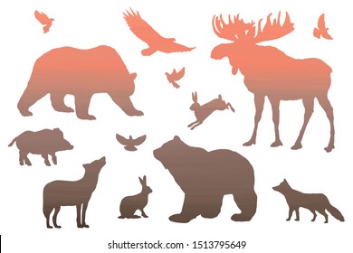Wild forest animals sunset- silhouettes, elements set white isolated. Basis graphics