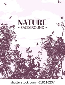 Wild forest background with flying birds and text, vector illustration